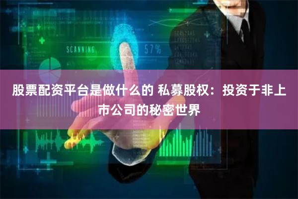 股票配资平台是做什么的 私募股权：投资于非上市公司的秘密世界