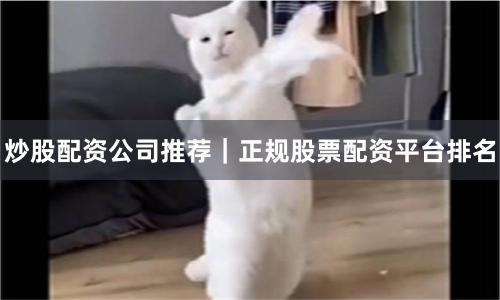 炒股配资公司推荐｜正规股票配资平台排名